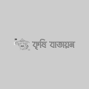 FTIP- BAU স্ট্রবেরি-১