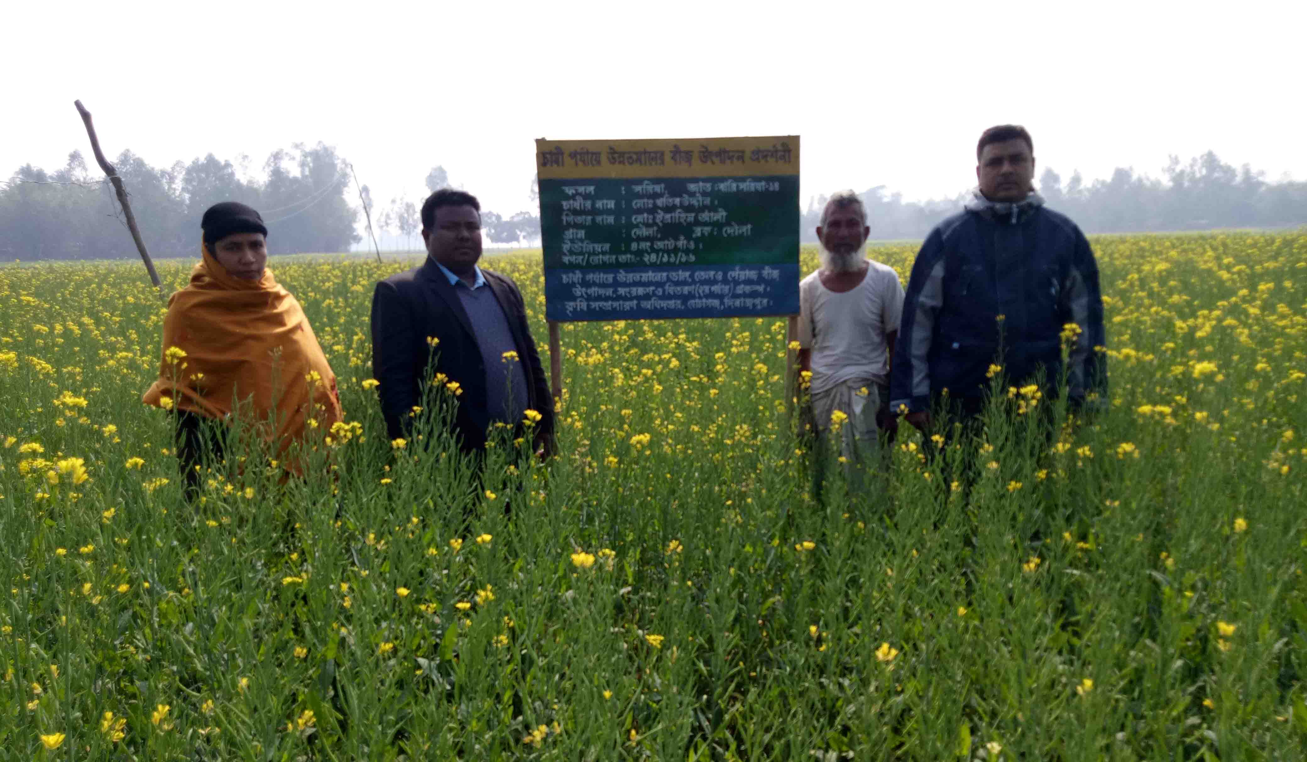 চাষী পযায়ে উন্নতমানের বীজ উৎপাদন প্রদশনী